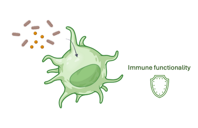 Bacterial metabolites modulating Immune Function